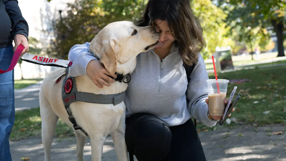 A yellow lab licks the face of a kneeling student, who has her nose wrinkled but is smiling. The young white woman has one arm slung around the dog and with the other holds a drink — iced coffee or milk tea.