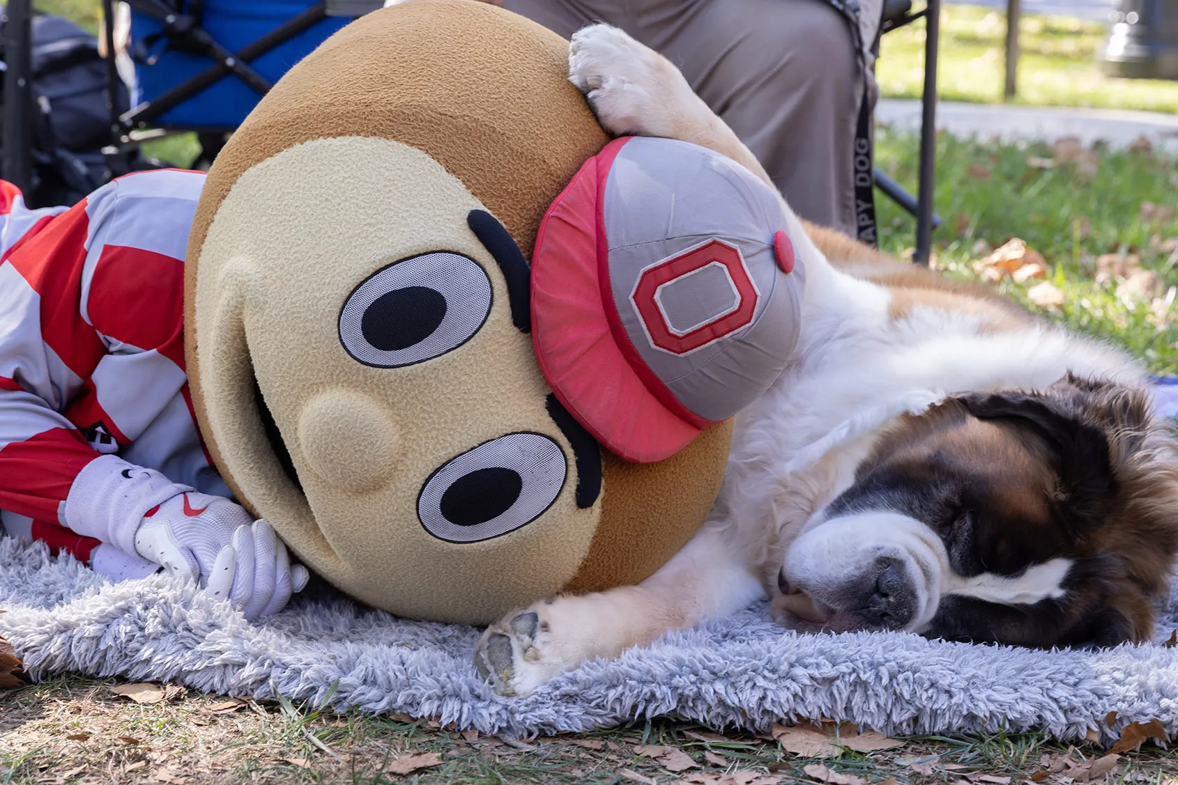 Brutus lies in the grass with a sleeping dog, who has one paw on Brutus' giant head.