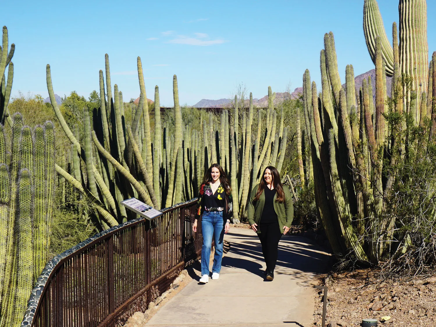 Two women, both with long brown hair, stroll a paved path that threads through cactus stands at least twice as tall as they are. The sky is clear and though it’s a bright day, both wear jeans and sweaters, so it’s not hot. 
