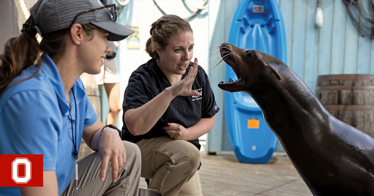 one-day-in-a-zoo-vet-s-life-ohio-state-alumni-magazine