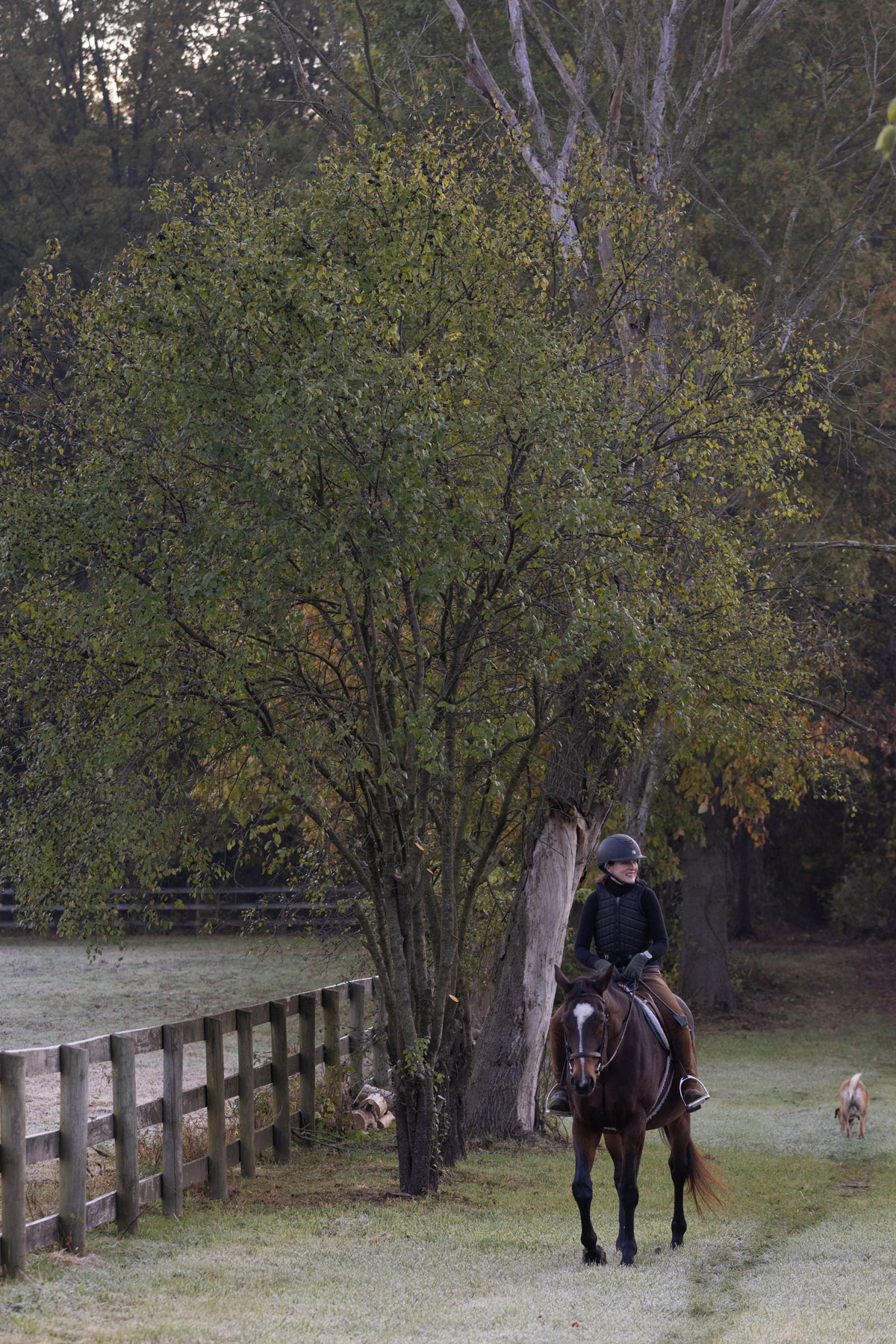 Lloyd rides a horse along a grassy path beside a wooden fence, moving beneath a tall tree with a dog walking nearby. There’s frost on the grass.