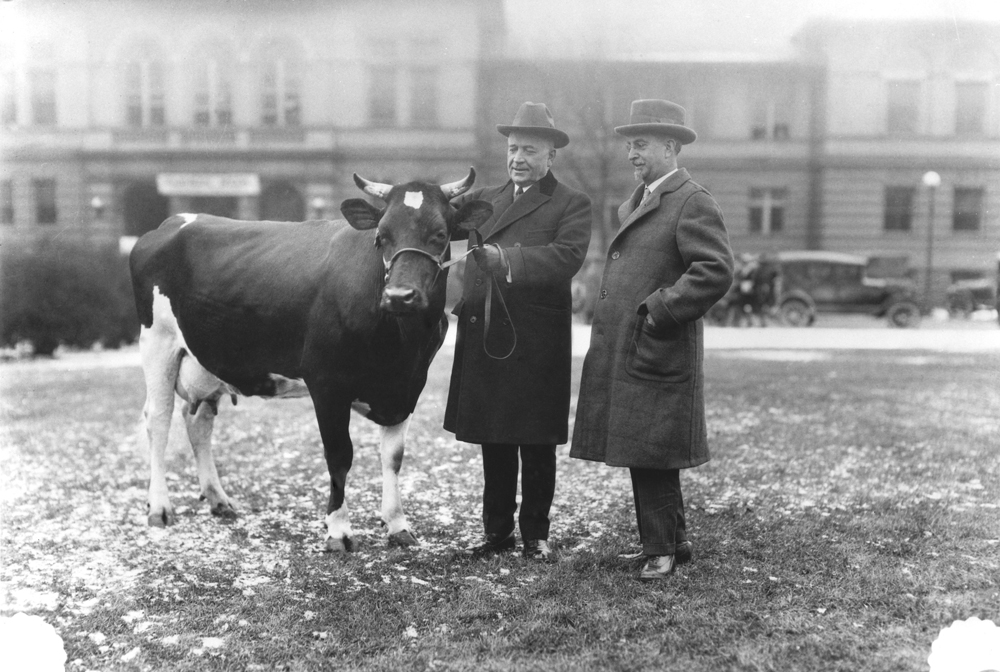 In the 1920s, two men dressed in suits admire a black and white Holstein cow. Her horns are taller than their shoulders, and she appears to be looking at the photographer.