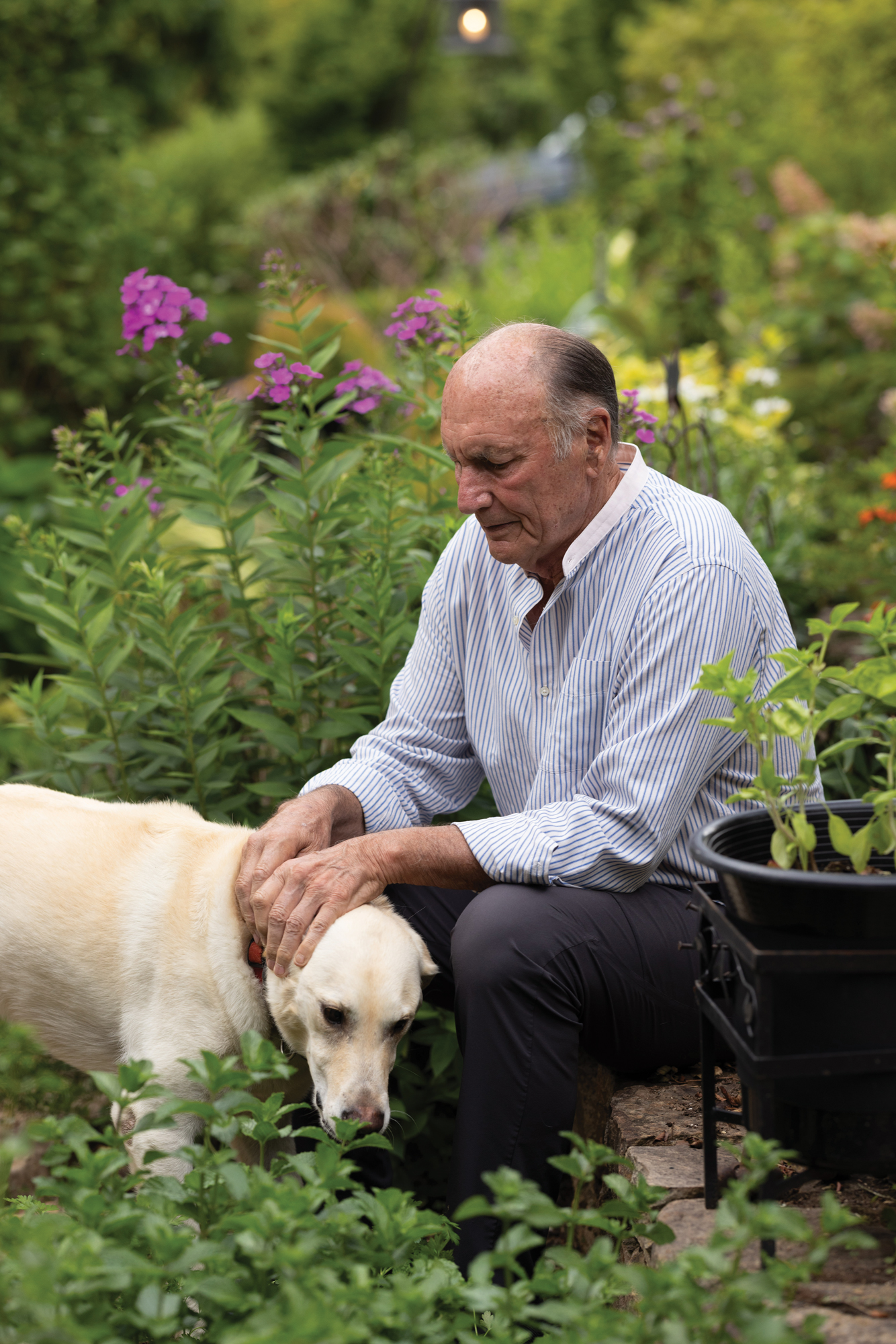 Hutchison pets his dog while sitting amid his gorgeous garden. He looks contemplative