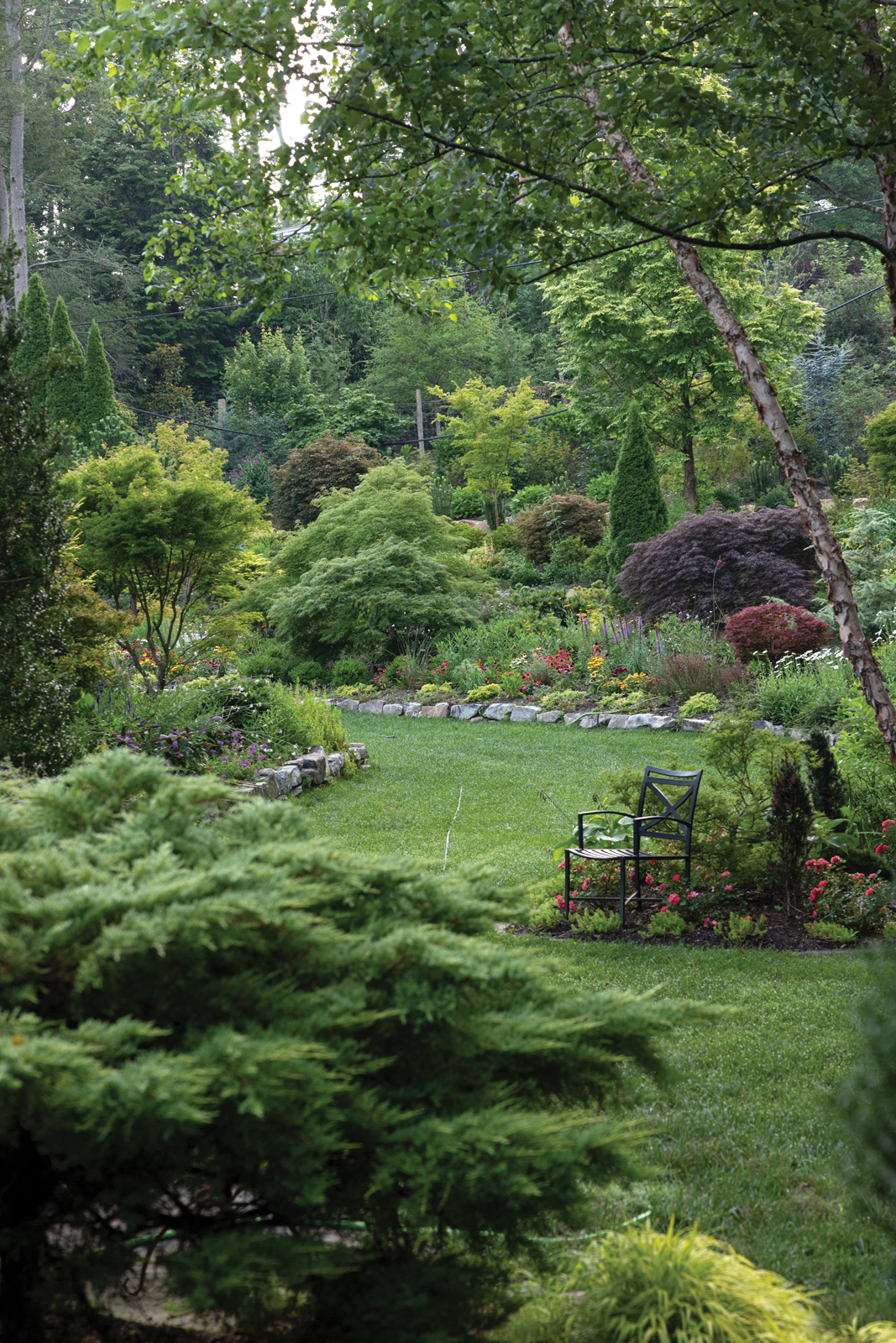 A wide grass path weaves between islands of lush plantings. There are colorful flowers and a number of Japanese maples, all in different colors. The feeling is a secret garden where you'd be happy to get lost.