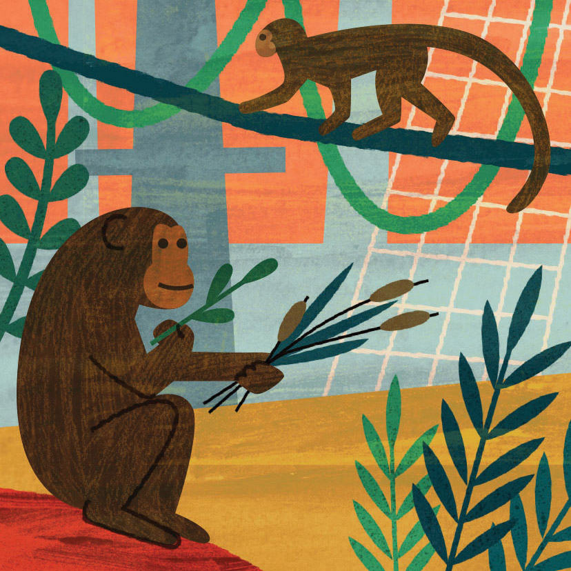 Illustration of two monkeys in a jungle environment, one gathering organic materials and one climbing on a vine
