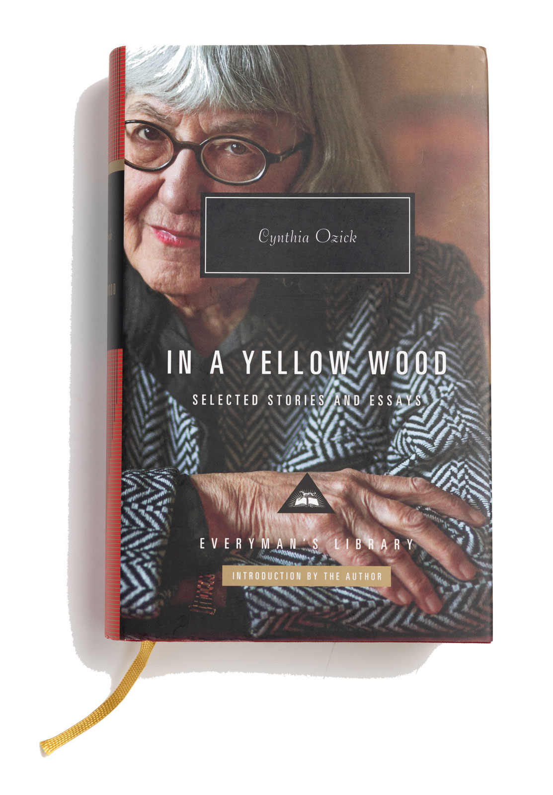 The cover of In a Yellow Wood shows the author looking contemplative and like she has advice worth listening to.