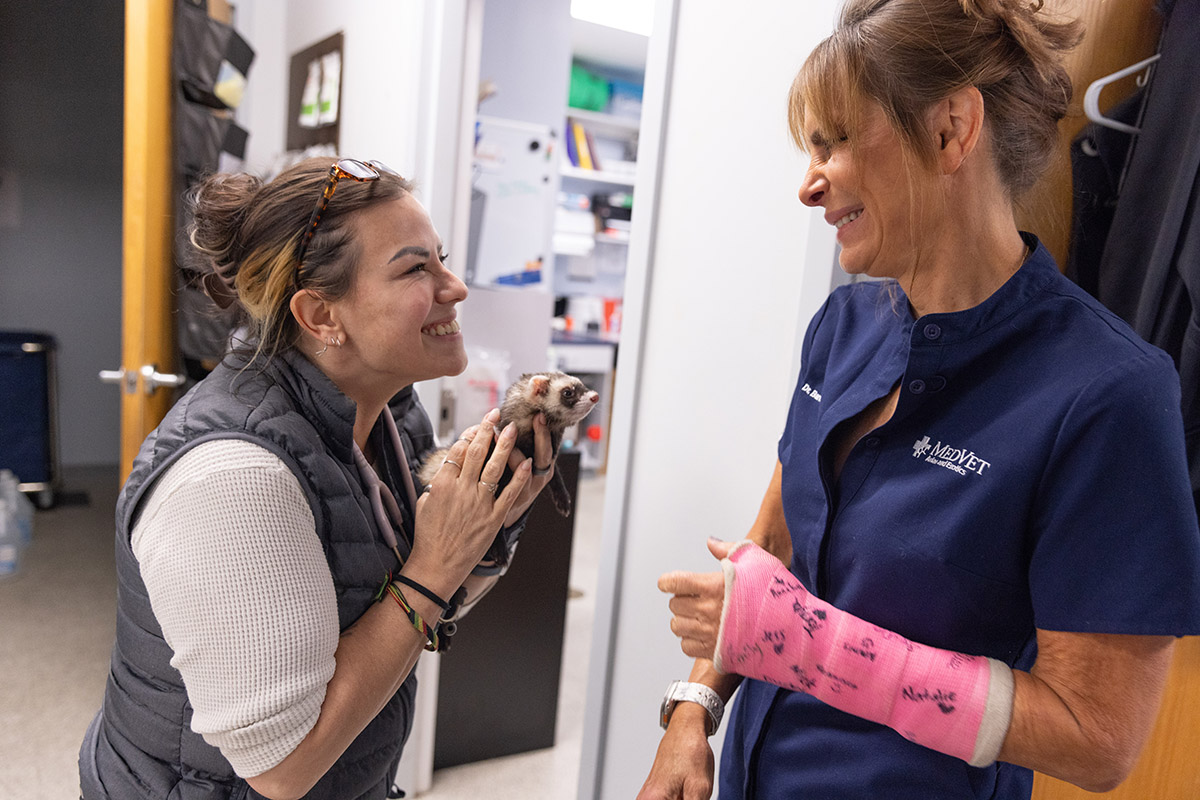 Dr. Oglesbee smiles as she looks at a shorter woman not more than a couple of feet in front of her. The woman is another veterinarian and she’s grinning as she shows off a fuzzy baby ferret that she holds cradled in her hands. Their body language says “aww, so cute!”