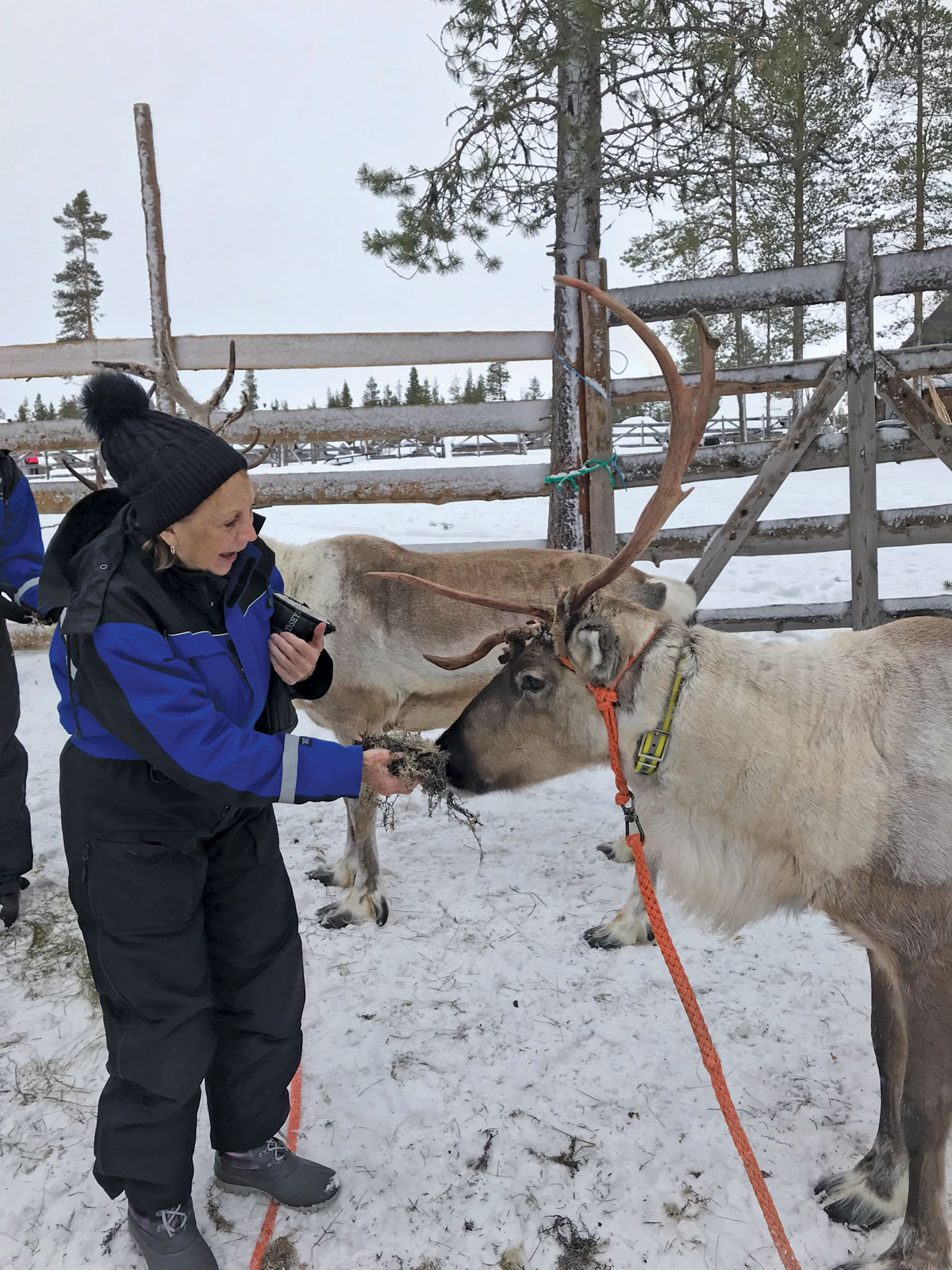 A white woman in snow gear feeds a reindeer on a trip. They're surrounded by snow.