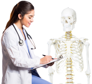 A seated woman in a lab coat studies a classroom anatomy skeleton and takes notes on a clipboard