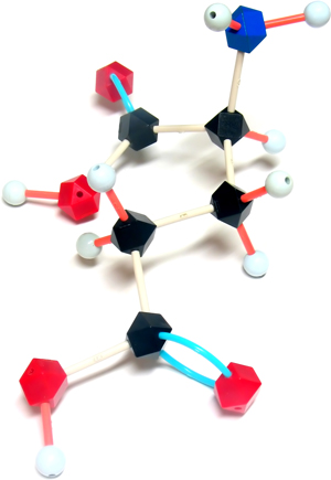 Laboratory model of a glutamic molecule structure