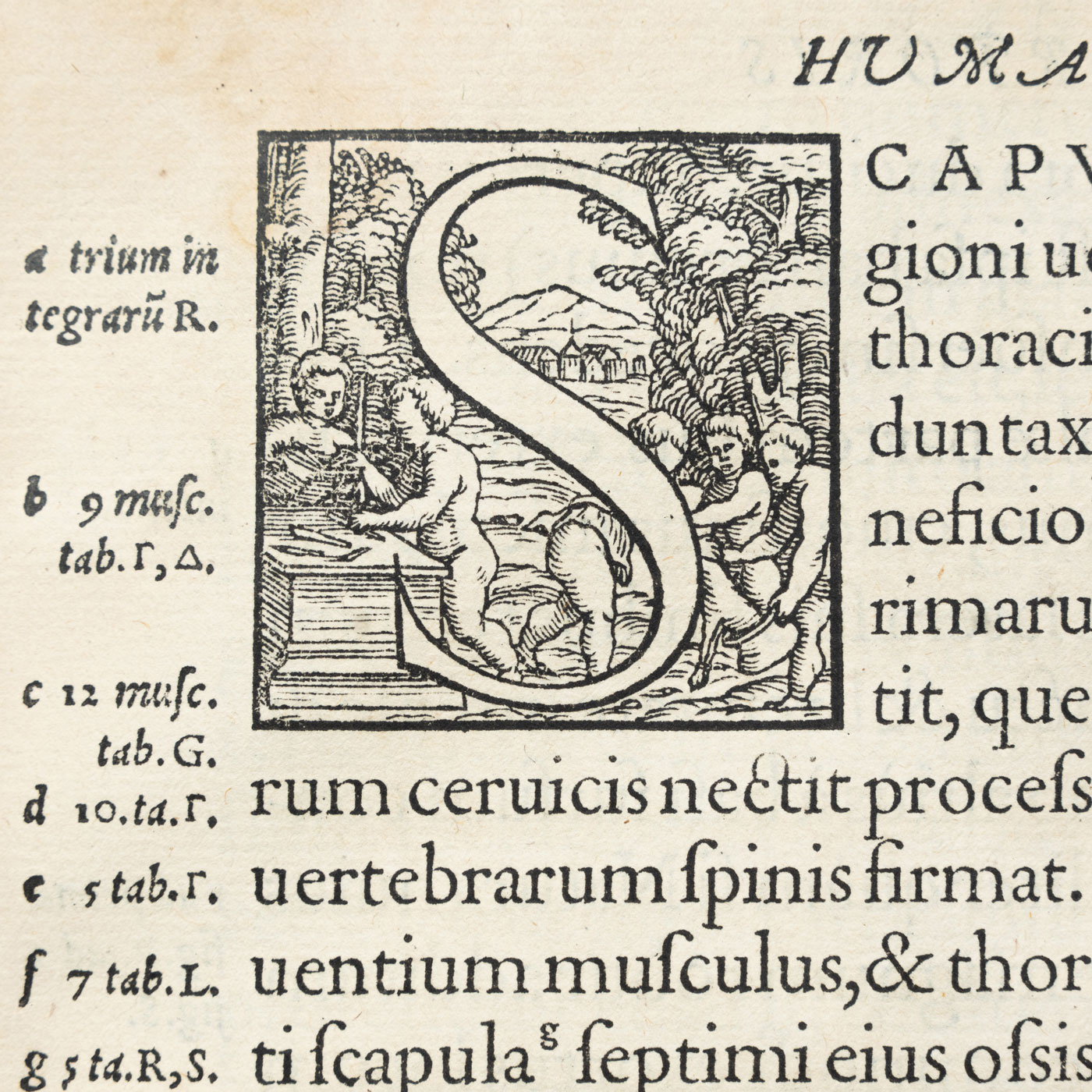 A chapter-start illustration of cherubs and the letter S