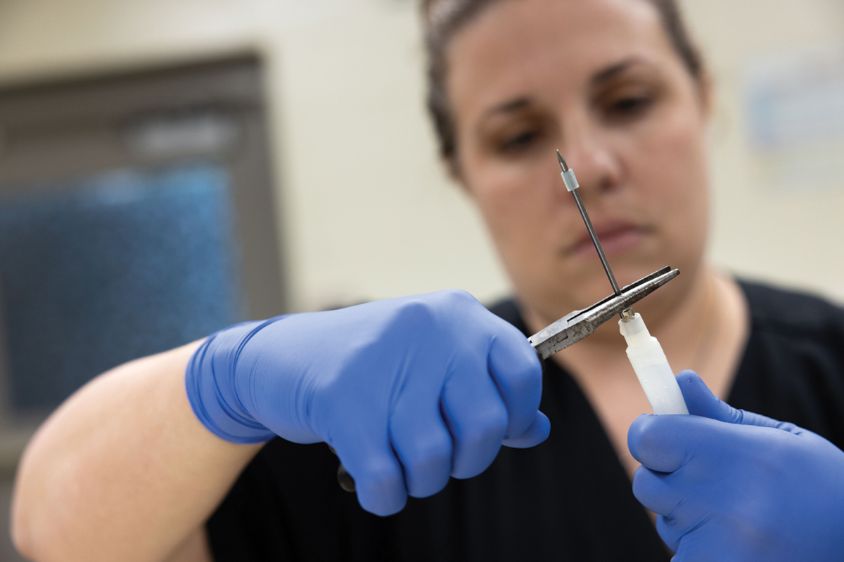 A female veterinarian wears gloves while using pliers to adjust a large-gauge needle on a syringe. The needle is the focus of the photo; the woman is out of focus behind it.