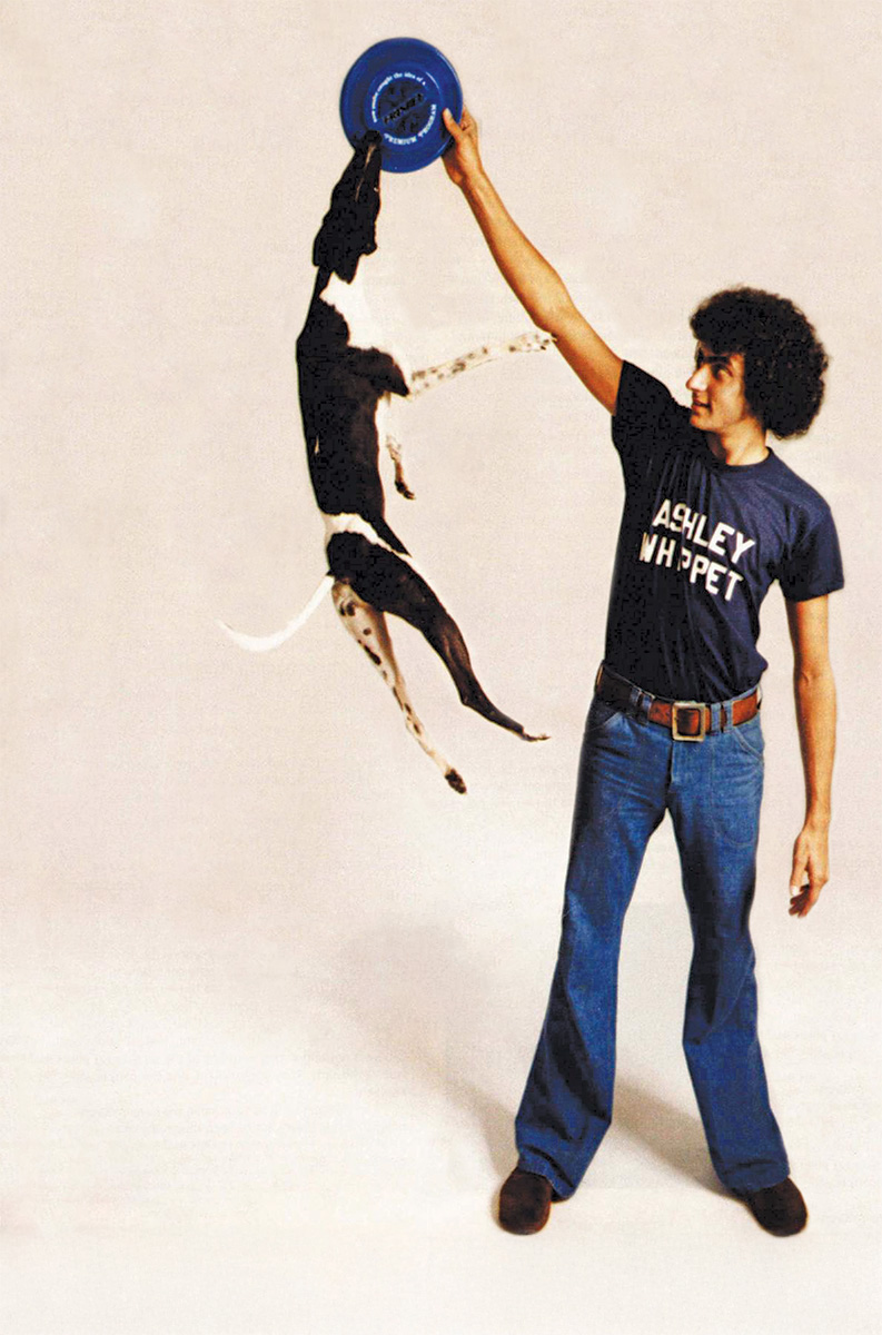 A man dressed in 1970s clothes holds a frisbee as high as he can reach, and a slim dog jumps high to grab it