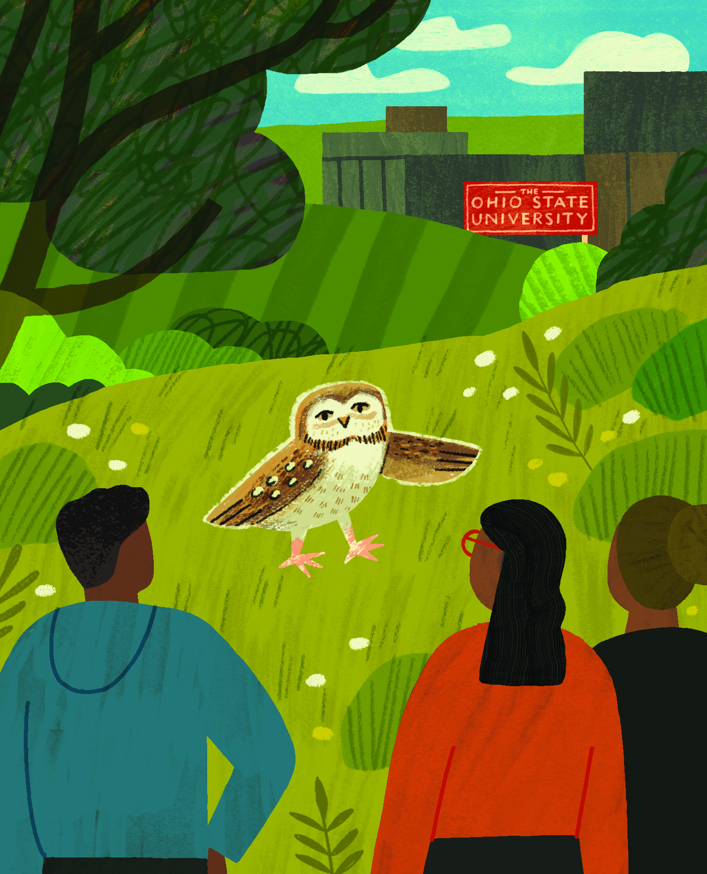 An illustration shows a trio of people watching an injured owl that they will help rehabilitate. In the distance is a sign that says "The Ohio State University"