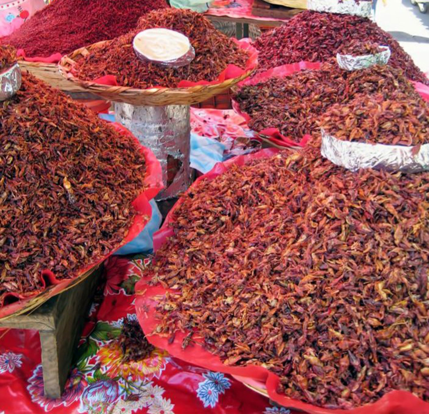Big baskets are heaped with cooked chapulines, which appear more like tiny lobsters, in a market in Mexico