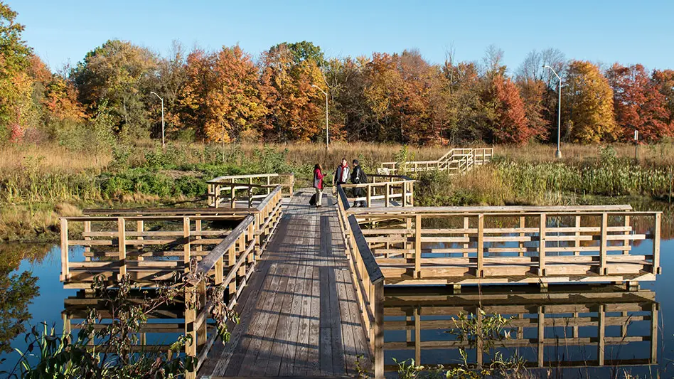 3 people are standing on a boardwalk bridge over a vernal-pool.