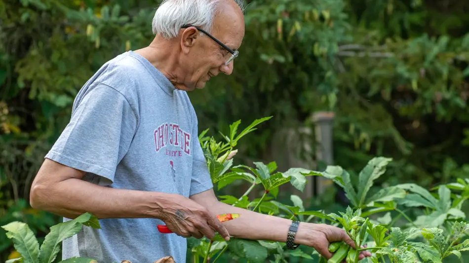 Rattan is walking through his home garden and picking vegetables off the plants.