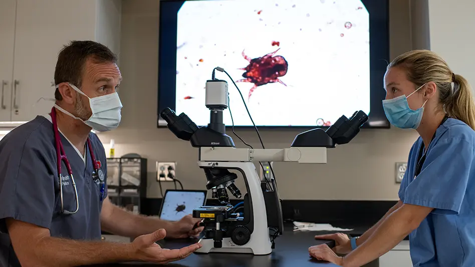 two vets looking at microscope