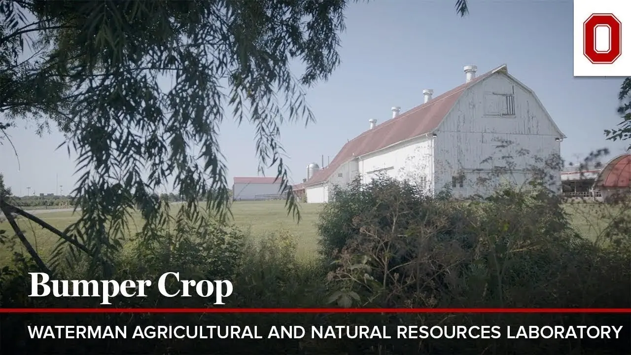 A white distressed barn with a red roof sits in a field