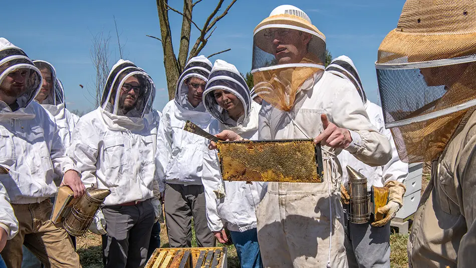 Associate Professor Reed Johnson and students in his beekeeping class inspect the hives at the Rothenbuhler Honey Bee Laboratory.