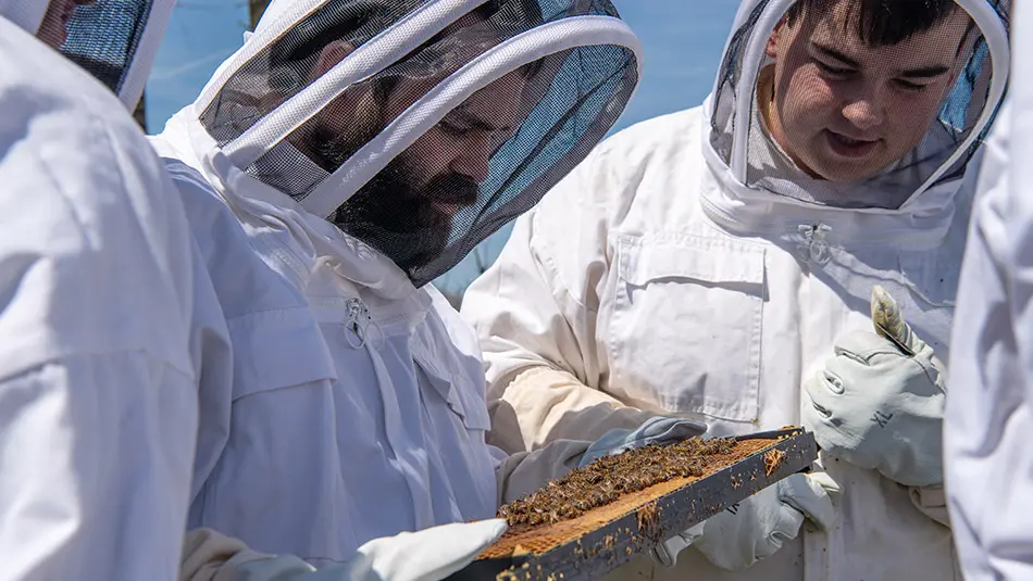 Students in Reed's class examine a hive frame.