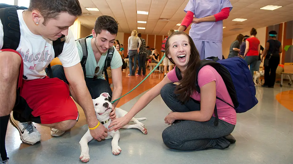 three students pet a puppy during Puppy Play Day