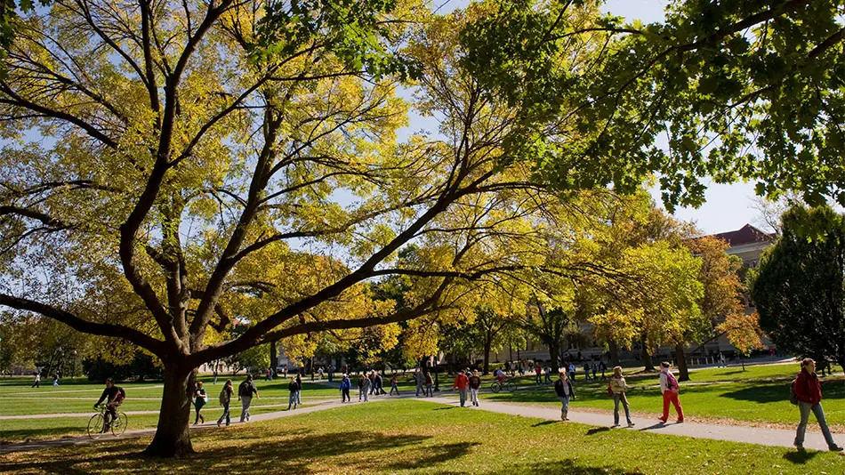 students walking on pathways through trees on campus 