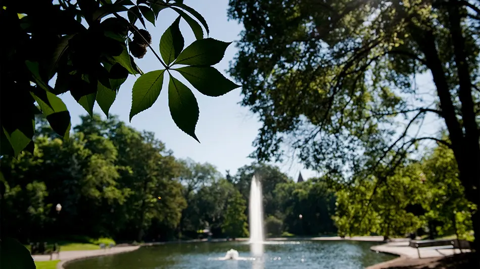 a buckeye leaf hangs in front of the fountain at mirror lake