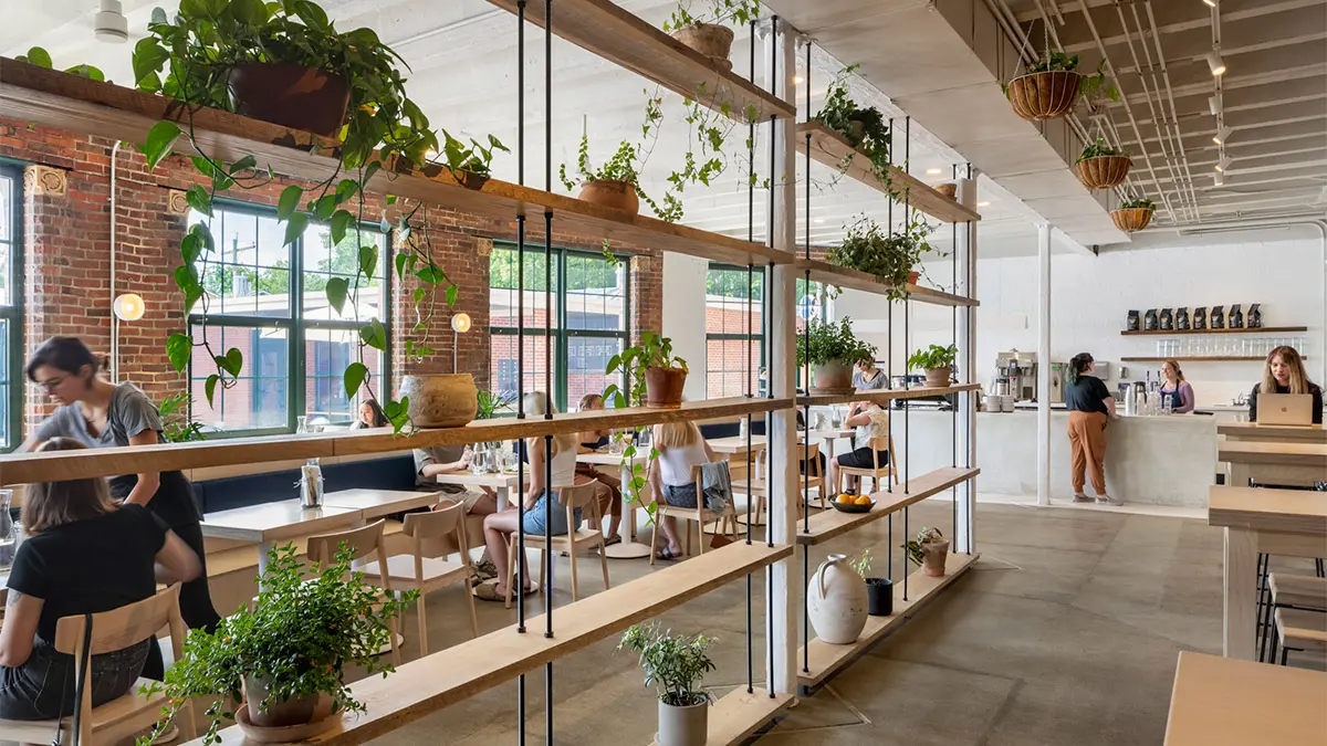 The restaurant space has big windows and lots of natural sunlight as a result. People eating at tables and servers are shown, and shelves with living plants help divide the space.