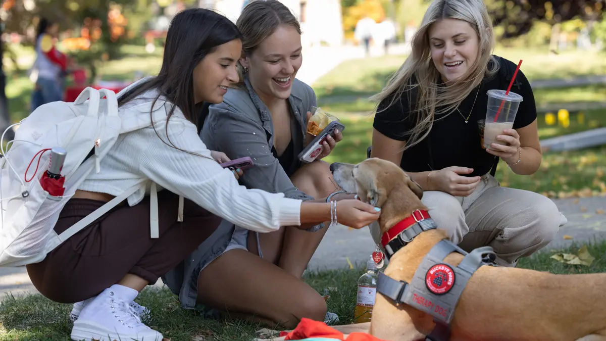 A greyhound lying on a blanket in the grass gets attention and pets from three smiling young women, whose hair is blowing in the wind. The trio holds snacks and cellphones in the hands they’re not using to pet the dog.