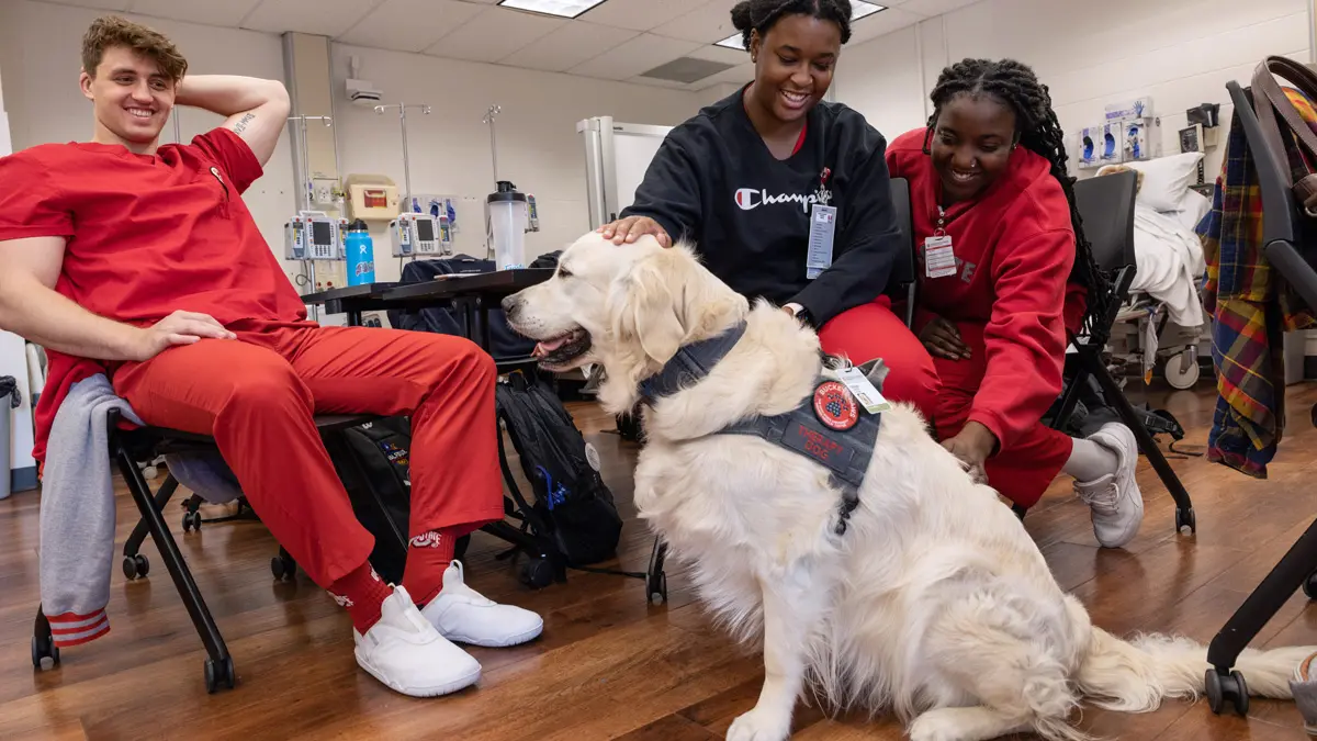 In a classroom setting, three nursing students interact with a sitting and smiling golden retriever. On the left, the male student smiles as he watches the dogs; he’s comfortably leaned back in his chair and is touching the back of his own head. Two smiling female students are leaning forward and petting the dog.