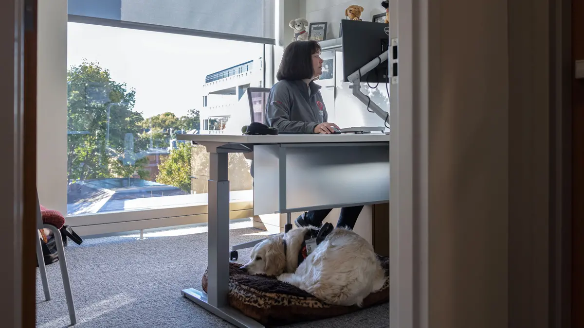From outside an office with an open door, you can see a woman working on a computer. Under her desk, her golden retriever is curled up napping.