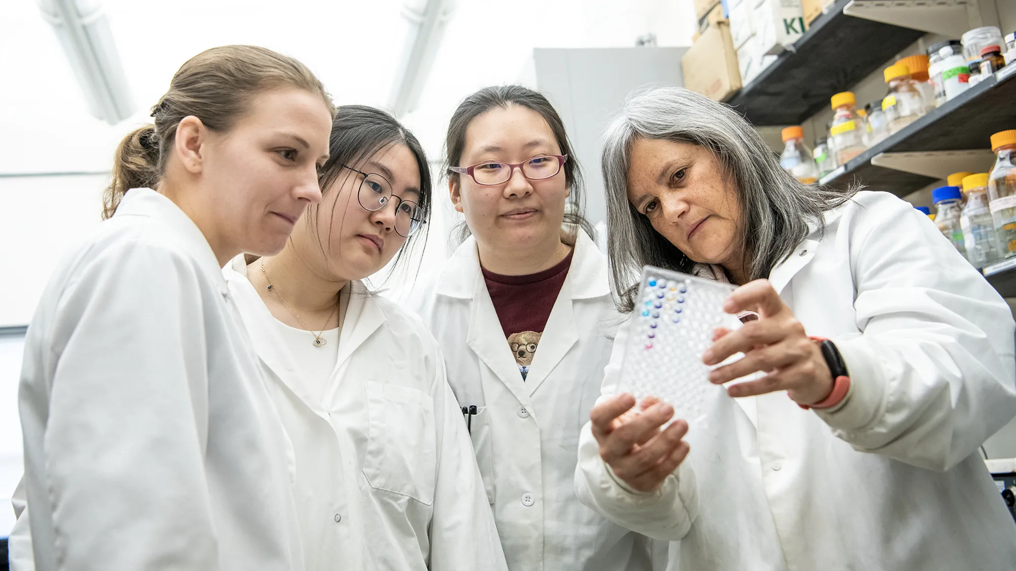 In a laboratory, Monica Giusti, a Peruvian woman with graying hair, shows three female students students a small clear tray with different antioxidant pigments held in rows of divots. They’re all focused on those pigments either looking studious or pleased.