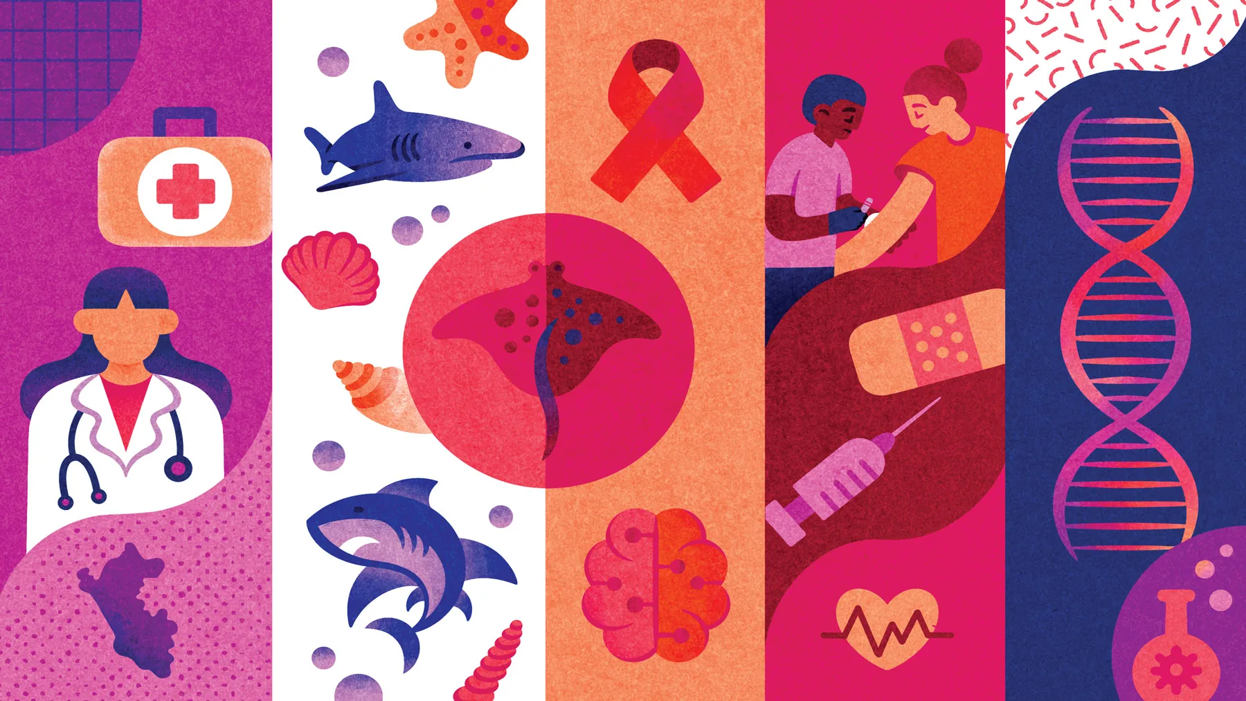 A vector illustration shows a line of tall panels, each representing a project completed by one of the 10 students below. The images include a doctor and Peru, sharks and sea shells, brain, nurse putting a band-aid on a patient and DNA. Wavy lines and patterns crossing the panels make the whole feel cohesive and dynamic.