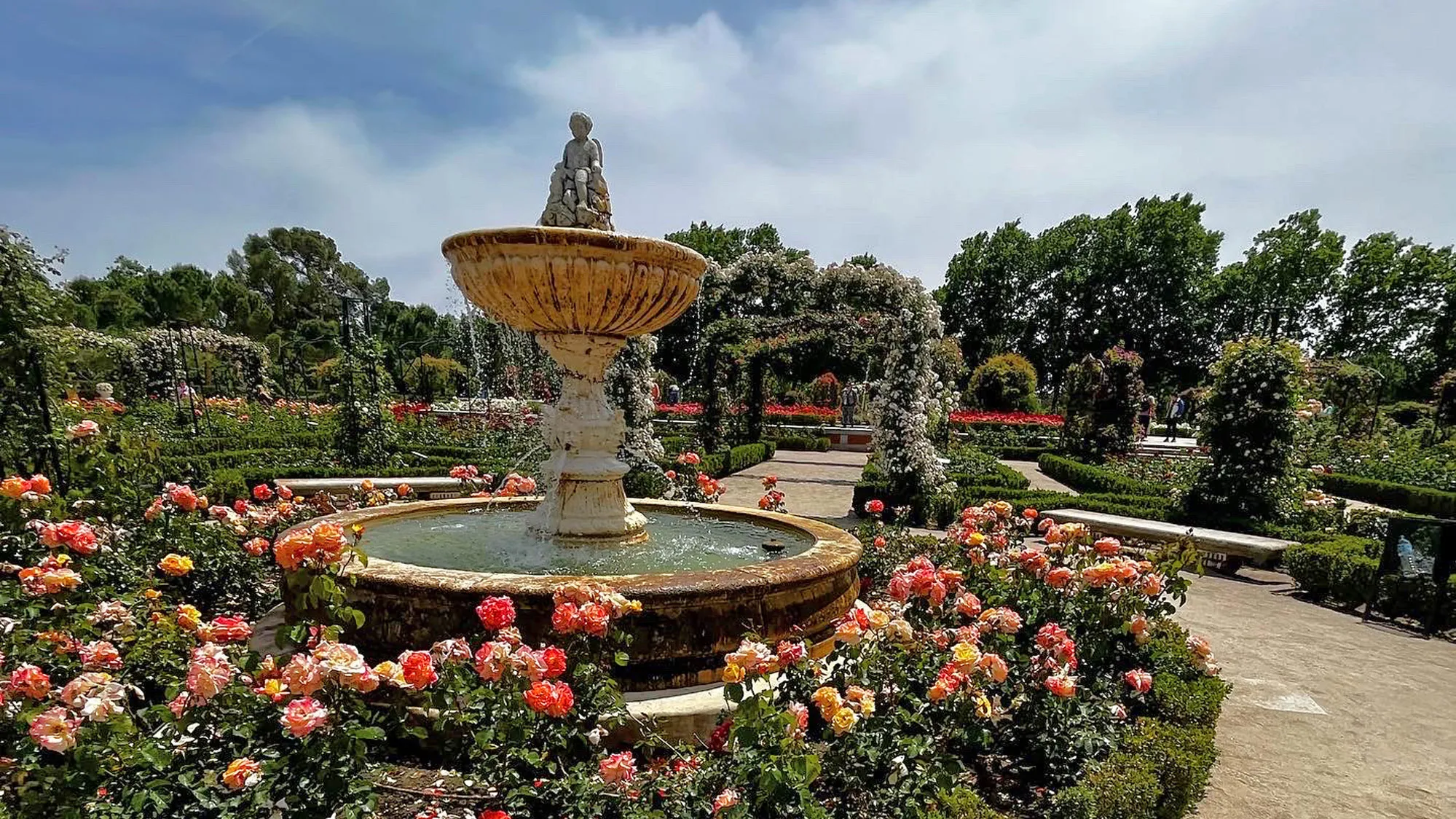 Sun shines on an ornate fountain surrounded by rose bushes, the center of a manicured garden with precisely trimmed bush rows and foliage climbing up arbors. At the top of the fountain is a seated cherub.