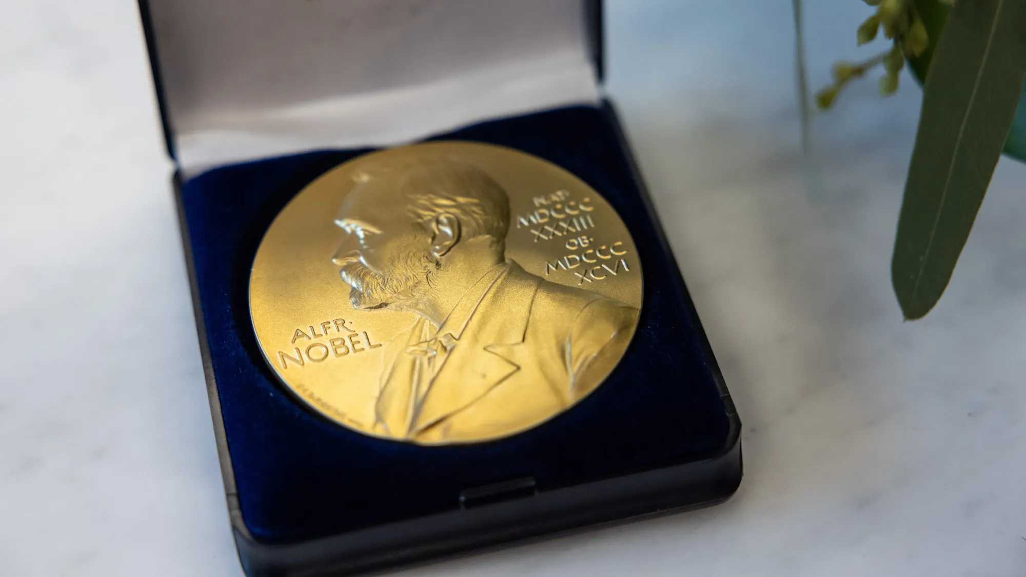 A replica Nobel Prize medal gifted to Ohio State by Pierre Agostini resembles a penny with its raised text and profile of Alfred Nobel, but it is closer to palm-sized. It sits in a velvet-lined, open box that resembles a ring box. 