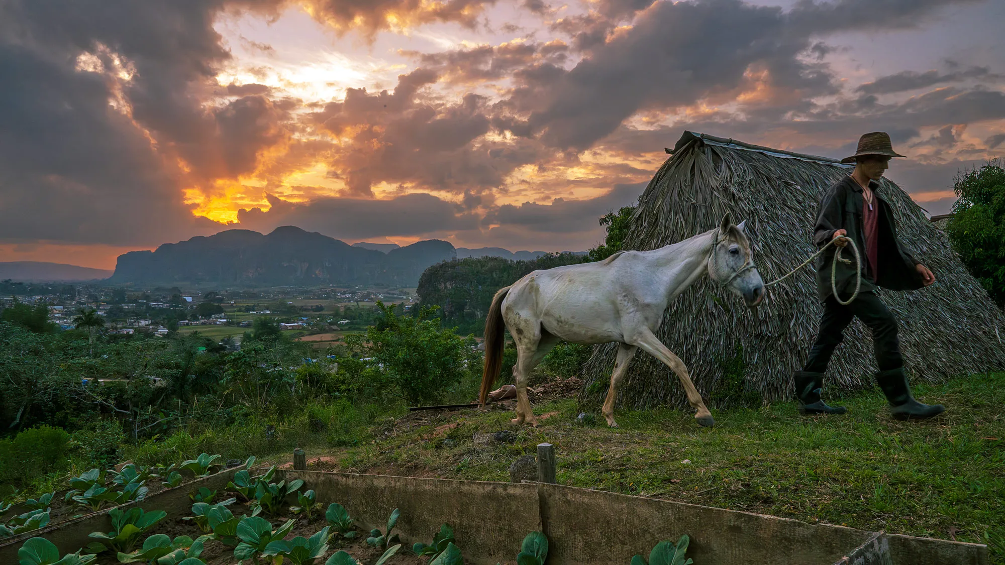 On top of a hill, a man walks his horse with a rope halter past a neat pile of thatch and neatly sectioned off patches of vegetables. Surrounding the vegetable patches are boards about 1 to 2 feet high. In the distance are a small town and mountains. The sun is setting, so rays of light shoot across the sky, making the fluffy clouds darker with illuminated edges.