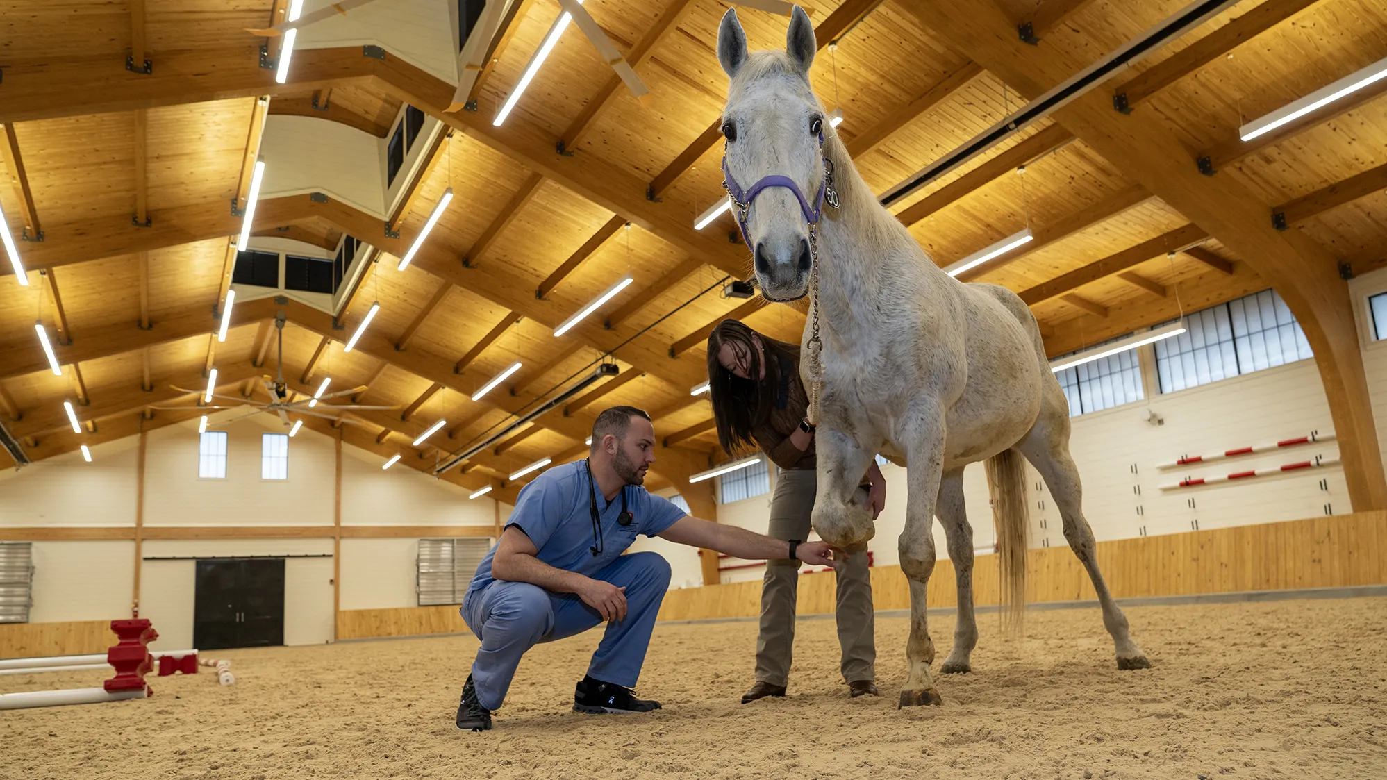 Shadow Montag, a white man with short-cropped hair and beard, wears a veterinarian’s scrubs as he checks the right front leg of a light-colored horse. He’s assisted by a teacher, a woman with long hair wearing khakis. They’re inside a giant indoors arena with dirt floor and a wood paneled roof that still appears new.