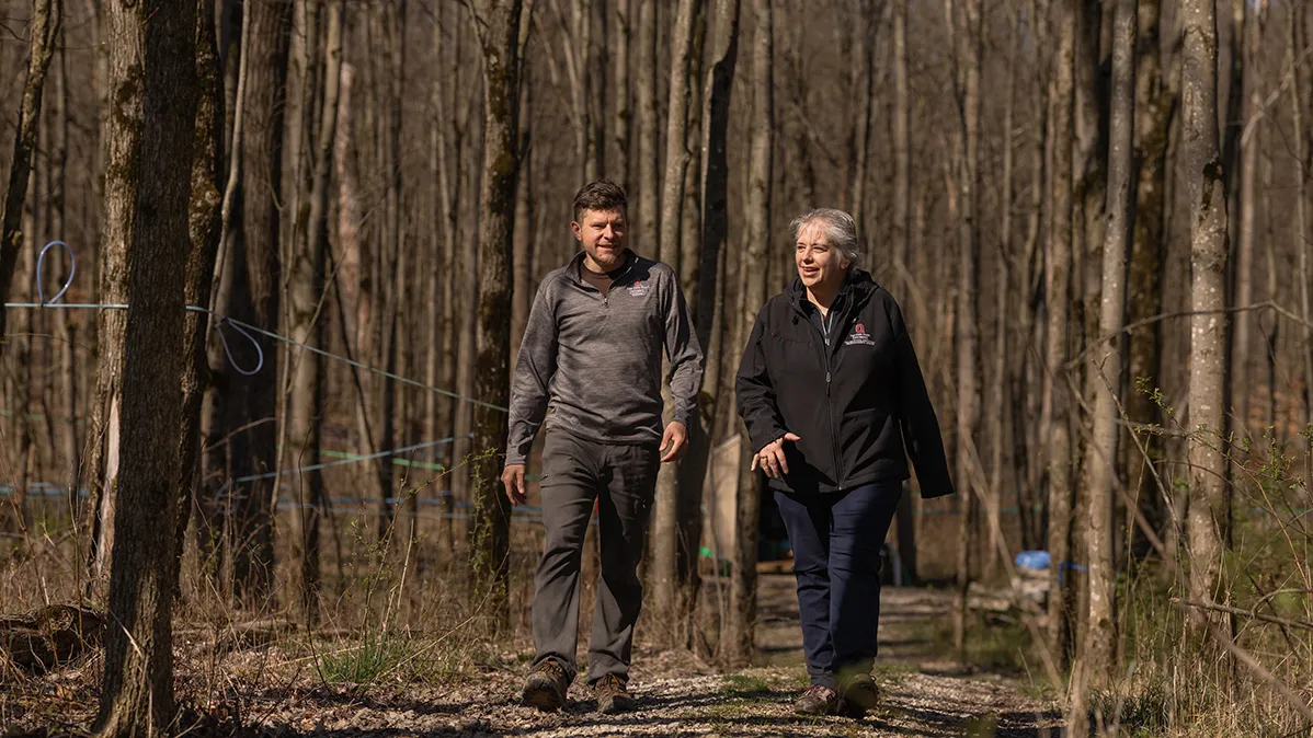 A man and a woman walk through woods in the wintertime. The woods, mostly maple syrup producing varieties, are near Ohio State's Mansfield campus