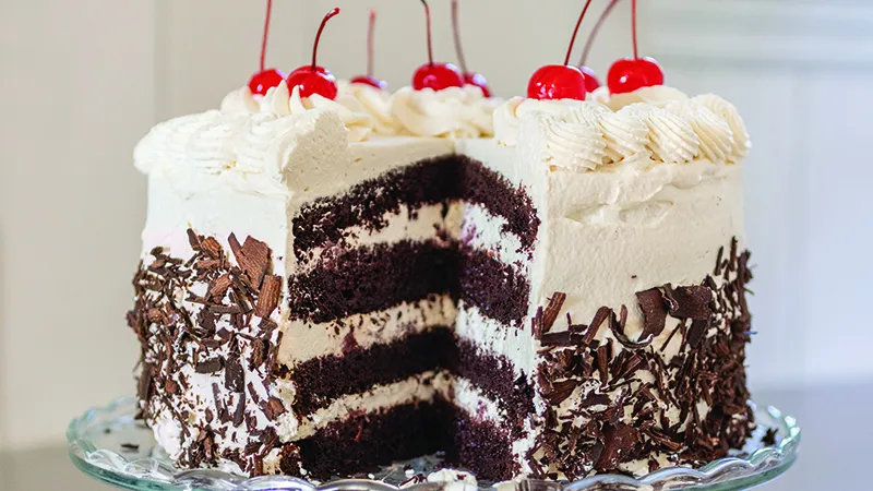 a tasty looking layered cake