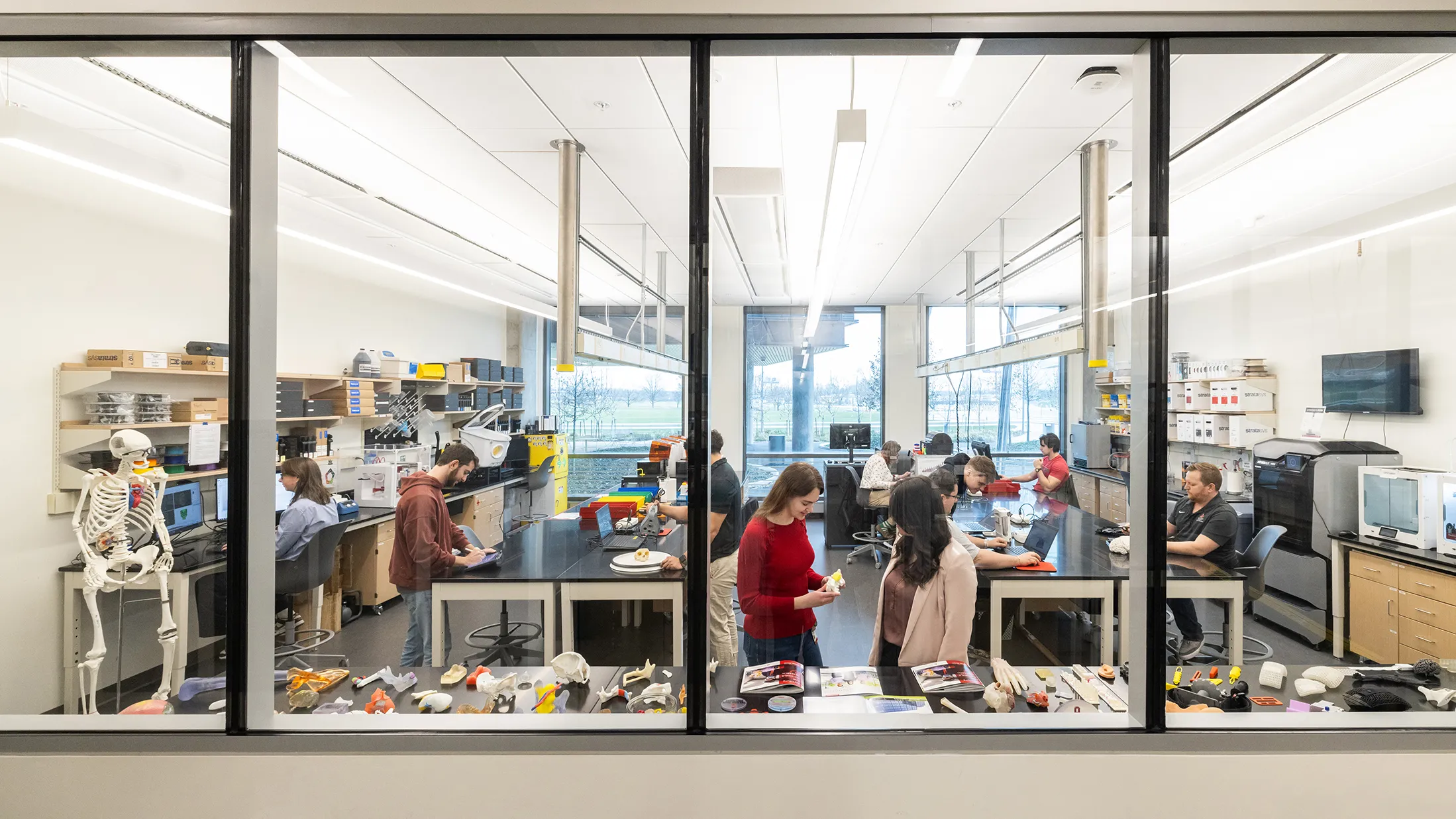 People at work in a lab sit at long tables or look at items on a display table along the full-width windows that let passers-by see into the work being done in thi slab. A plastic skeleton stands at right, and the people are mix of men and women