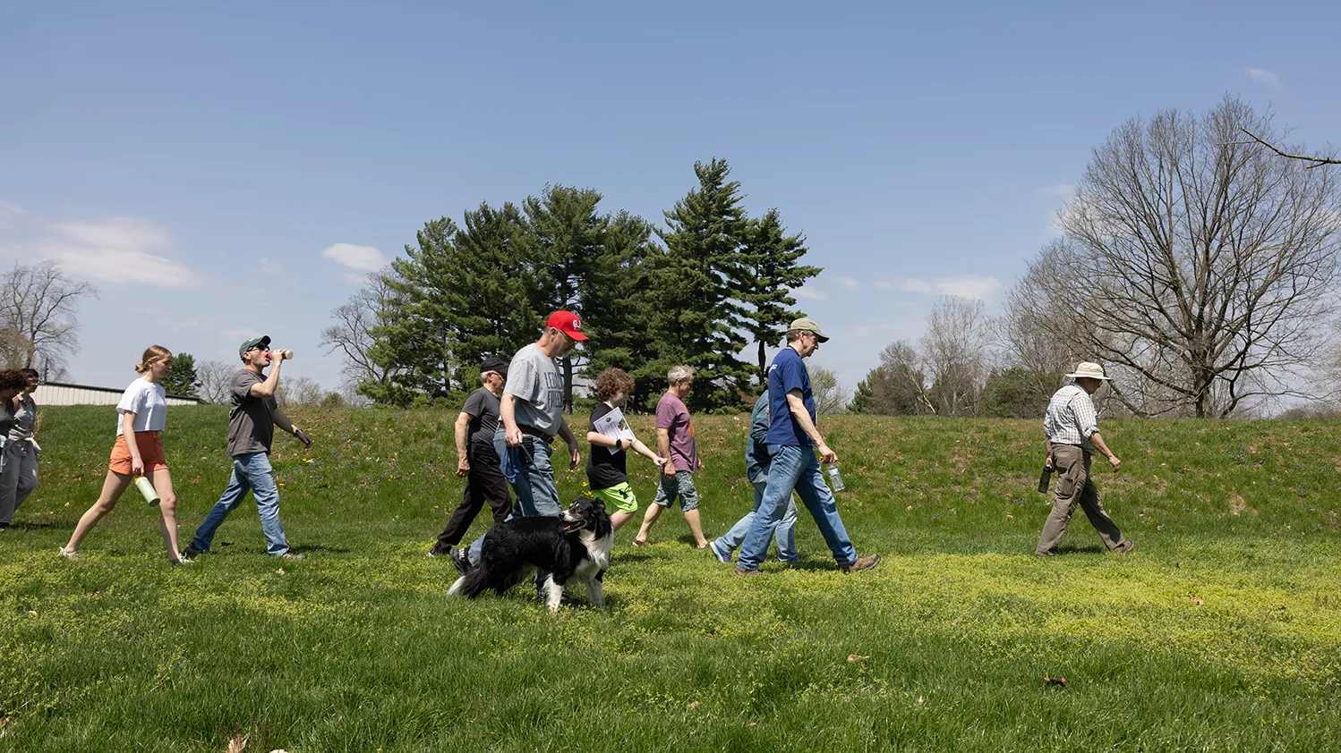 Ten people walk along a Hopewell mound, which is a grass-covered hill about shoulder height to the adults. The people wear jeans or shorts and many have on ballcaps. The day is sunny.