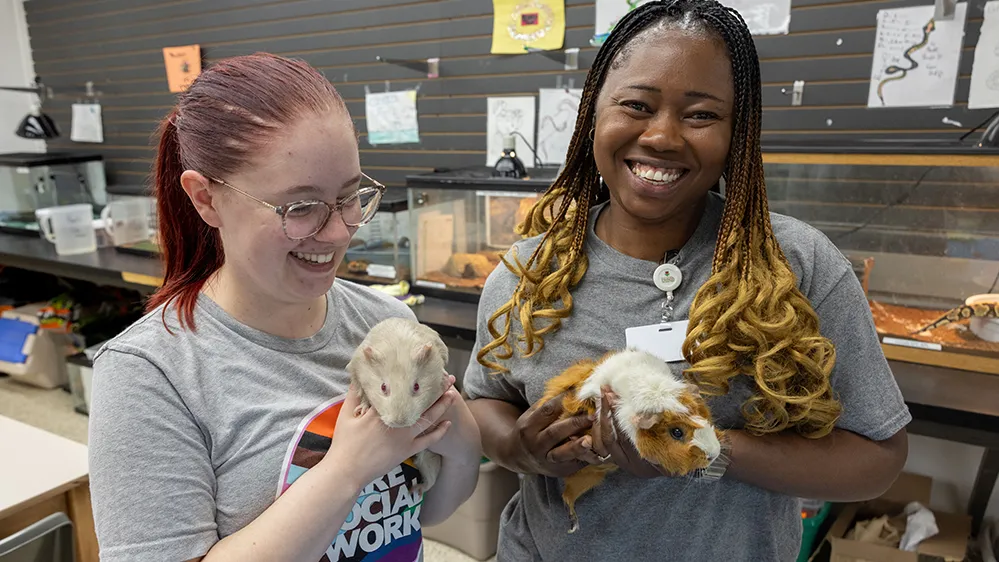 A young social worker and a graduate student from Ohio State smile as they hold guinea pigs in a room at Buckeye Ranch where therapy pets live
