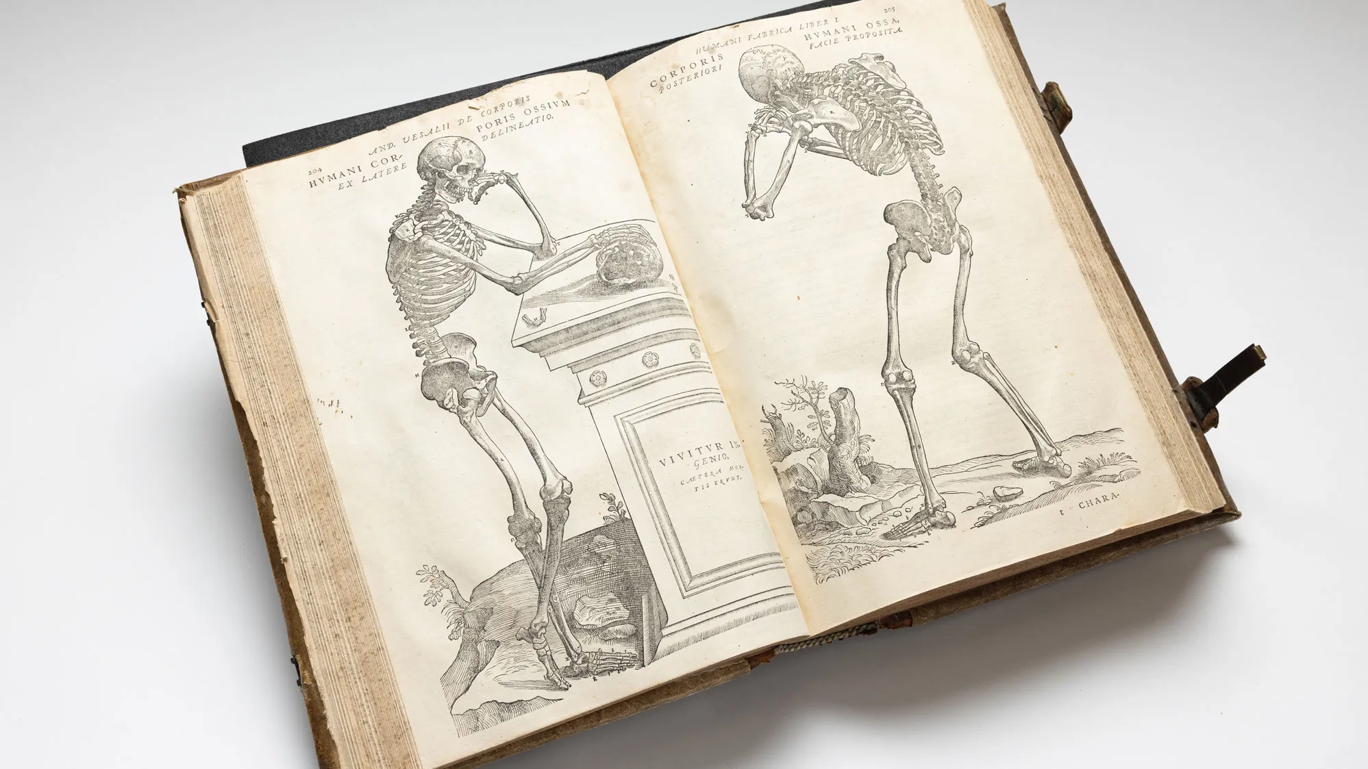 This photo shows a very thick book spread open. An illustration of a skeleton is on each page. On the left, one rests its head on a hand while leaning on what is perhaps a grave stone pedestal. Its other hand rests on a skull. On the right, the skeleton is seen from behind with it's arms and hands at its head, as if rubbing its eyes.