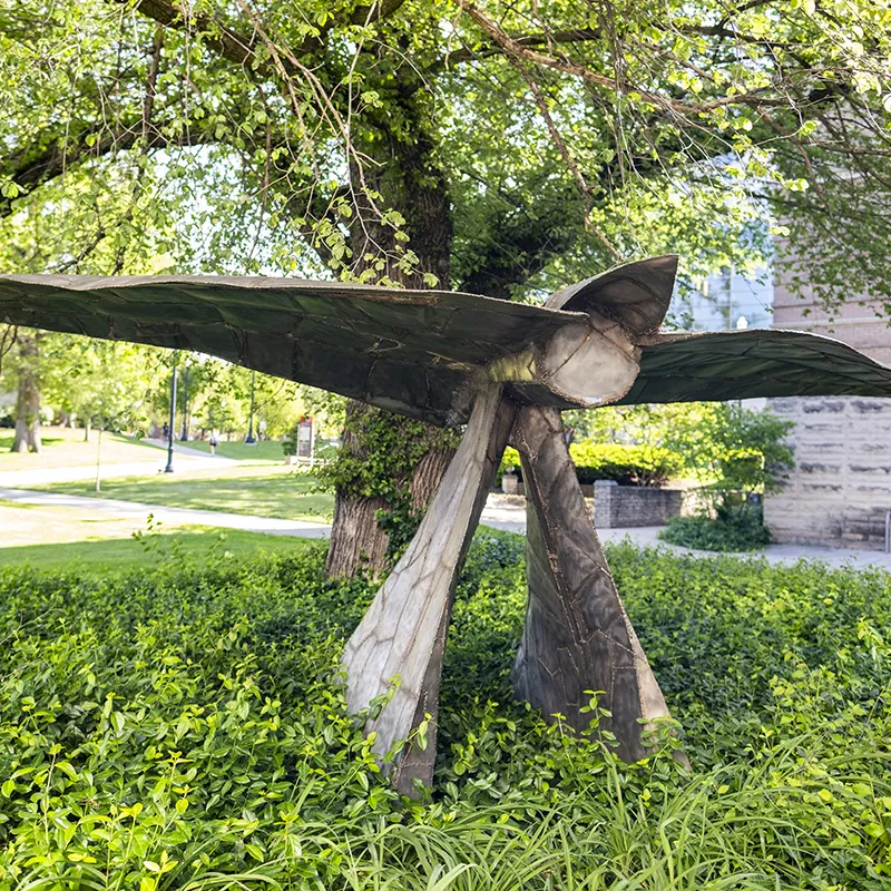 a stylized airplane or bird seems to fly low to the ground under a tree