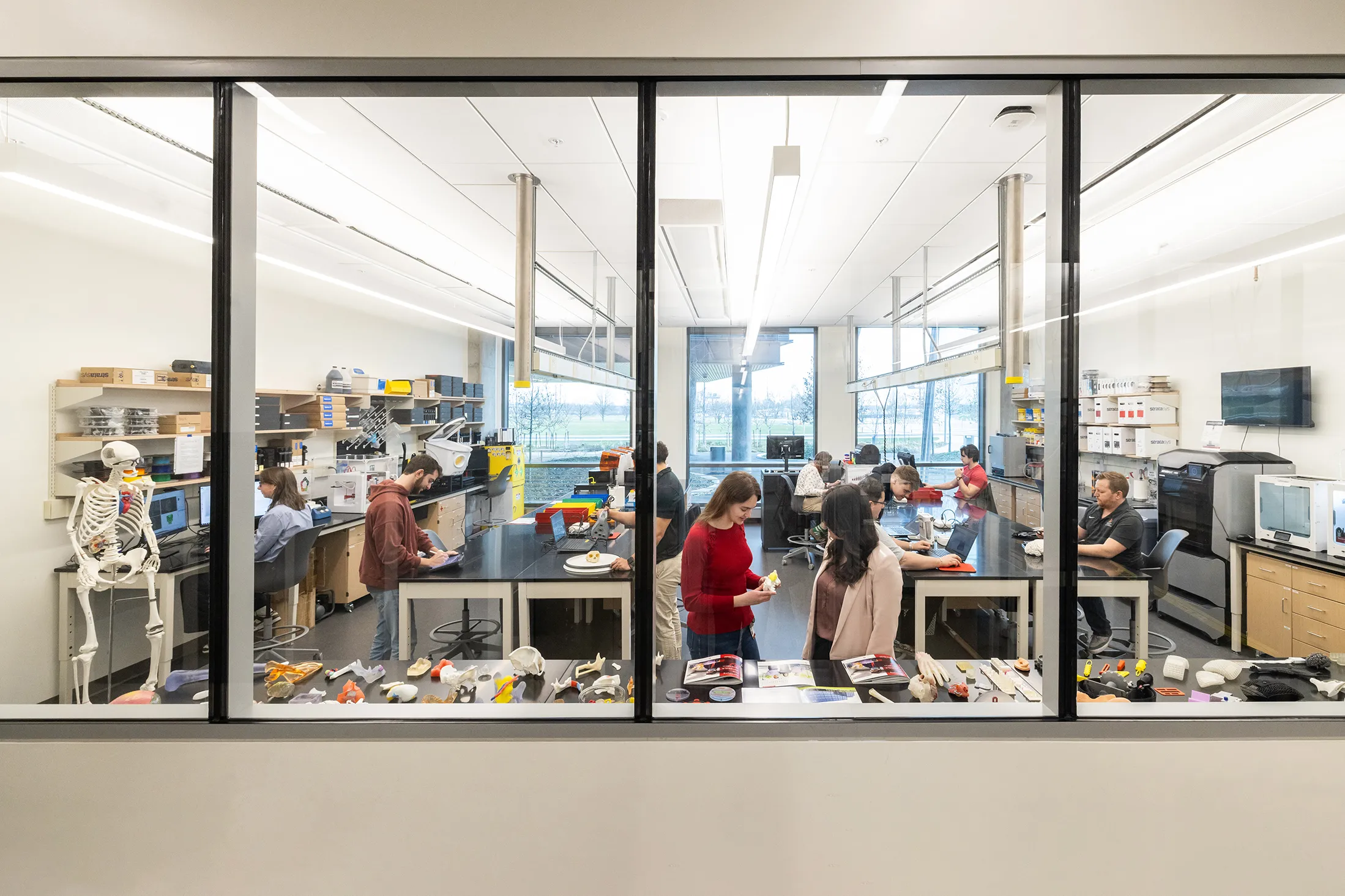 People at work in a lab sit at long tables or look at items on a display table along the full-width windows that let passers-by see into the work being done in thi slab. A plastic skeleton stands at right, and the people are mix of men and women