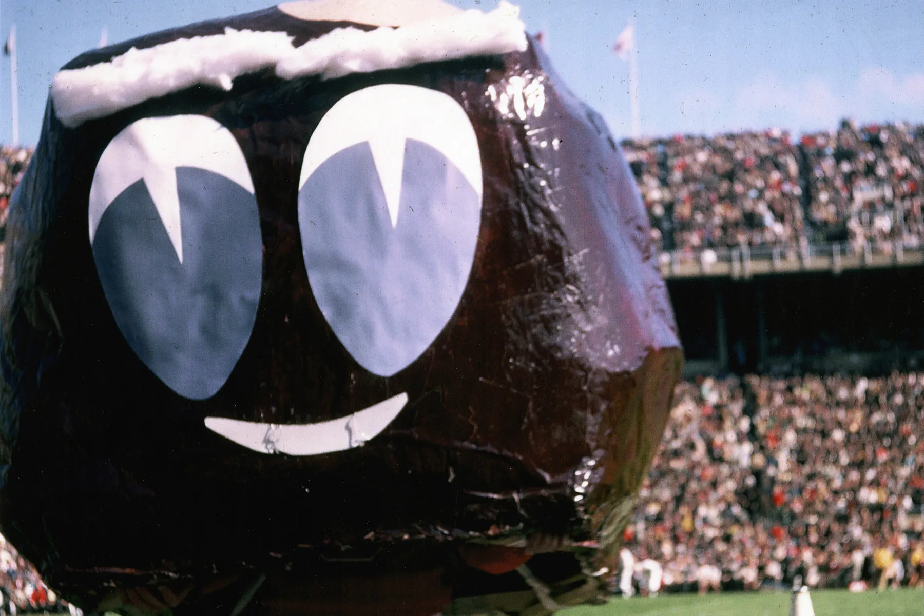 A poorly made papier mache Brutus head with gigantic eyes and cotton eyebrows is nevertheless super-cute.