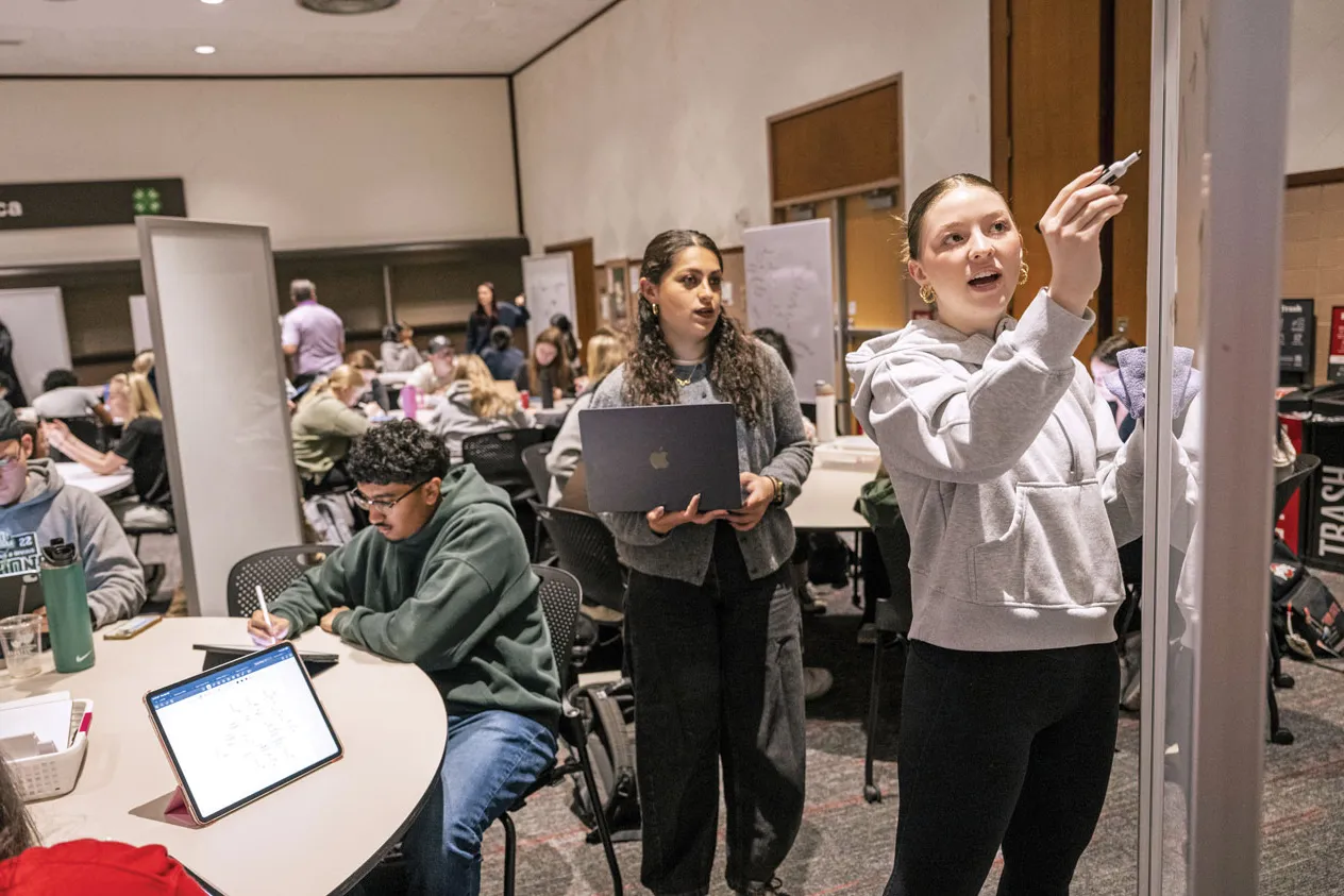 A student writes on a white board, while one more stands behind her, watching. Her formulate. At the table they stand in front of, students variously watch or check facts on their laptops. Everyone looks focused and hard at work.