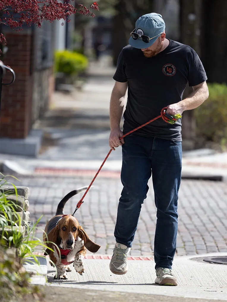 On a city street lined with clumps of greenery and brick buildings, Adam walks his dog, a thick basset hound. Though Adam looks down at his pet, the dog looks into the camera.