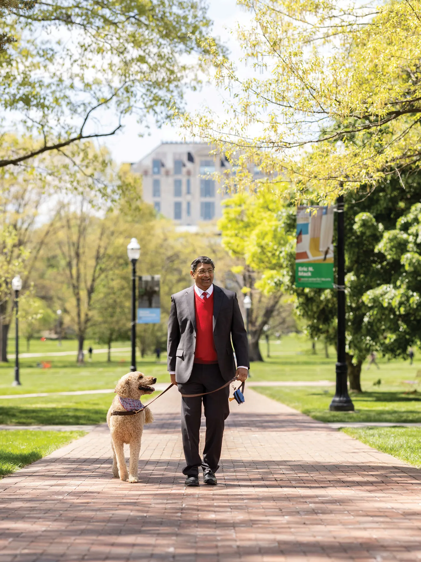 Wearing a suit and scarlet sweater vest, Ohio State's new president walks down an Oval path with his goldendoodle, C.J., whose head comes up to Bellamkonda's waist. He and the dog ar both looking to their left at something off camera.